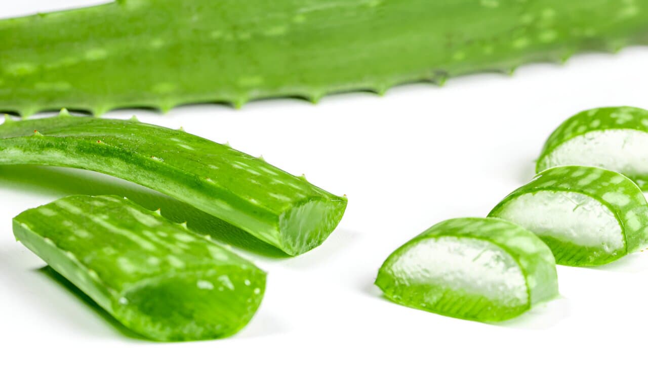 Forever Living Produkte vermarkten: Der Erfolg von Aloe Vera Forever Lips