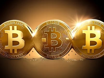 Bitcoin Kurs: Aktuelle Trends und Tradingmöglichkeiten auf Bitget entdecken