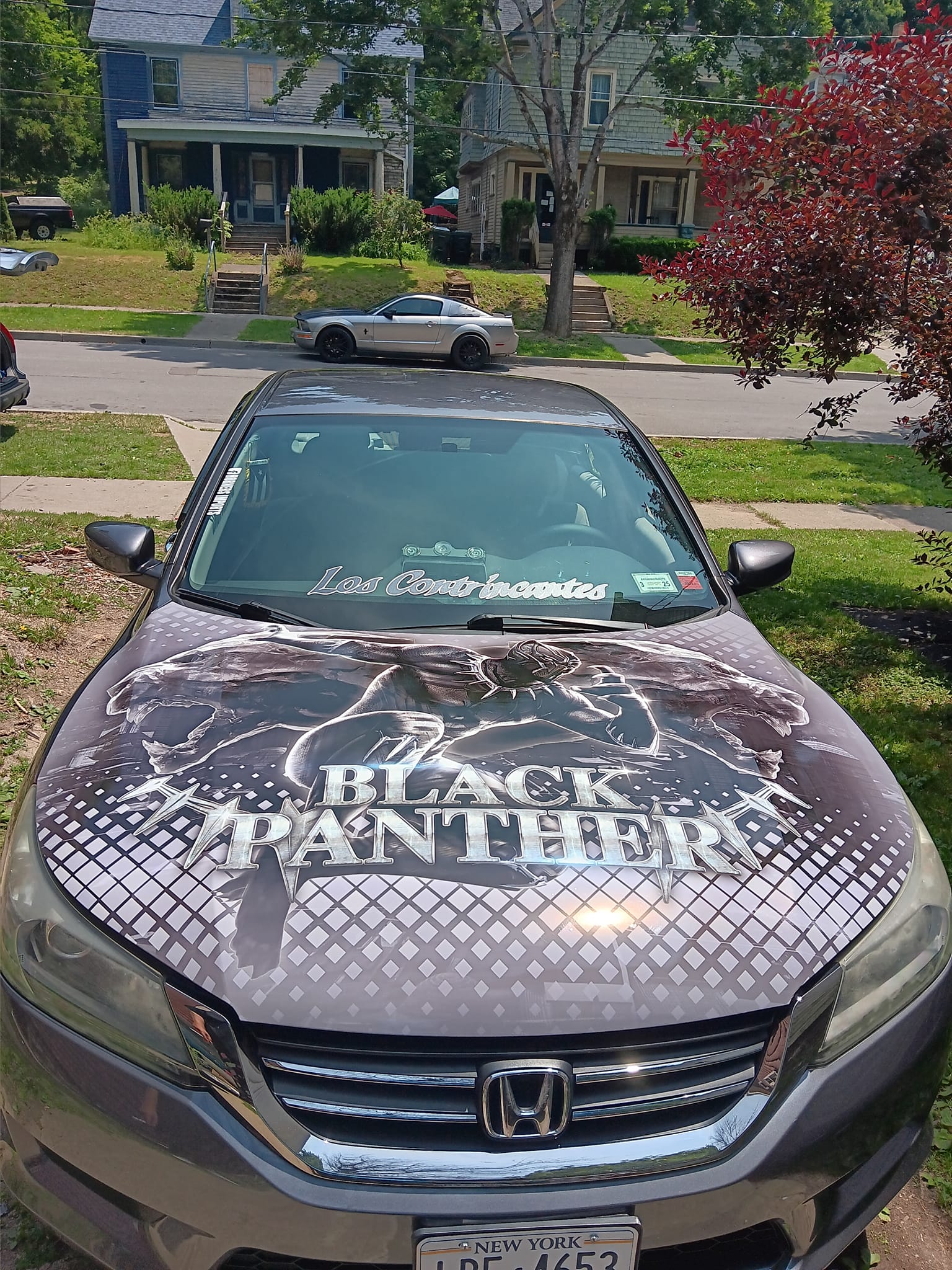Anime Car Folierung: So bringen Sie Ihre Lieblingscharaktere auf die Straße
